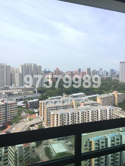 Blk 52 Havelock Road (Bukit Merah), HDB 4 Rooms #165351542